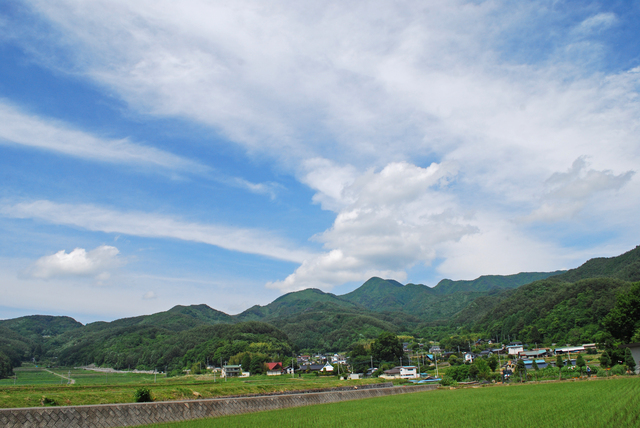 【コラム】「山の日」にちなんだ地方税とは