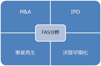 【税理士法人内で行うFAS業務の代表例】