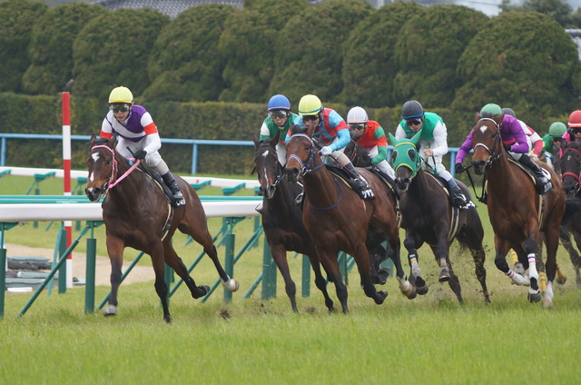 【コラム】競馬に懸賞……高額の臨時収入があった時の対応は？